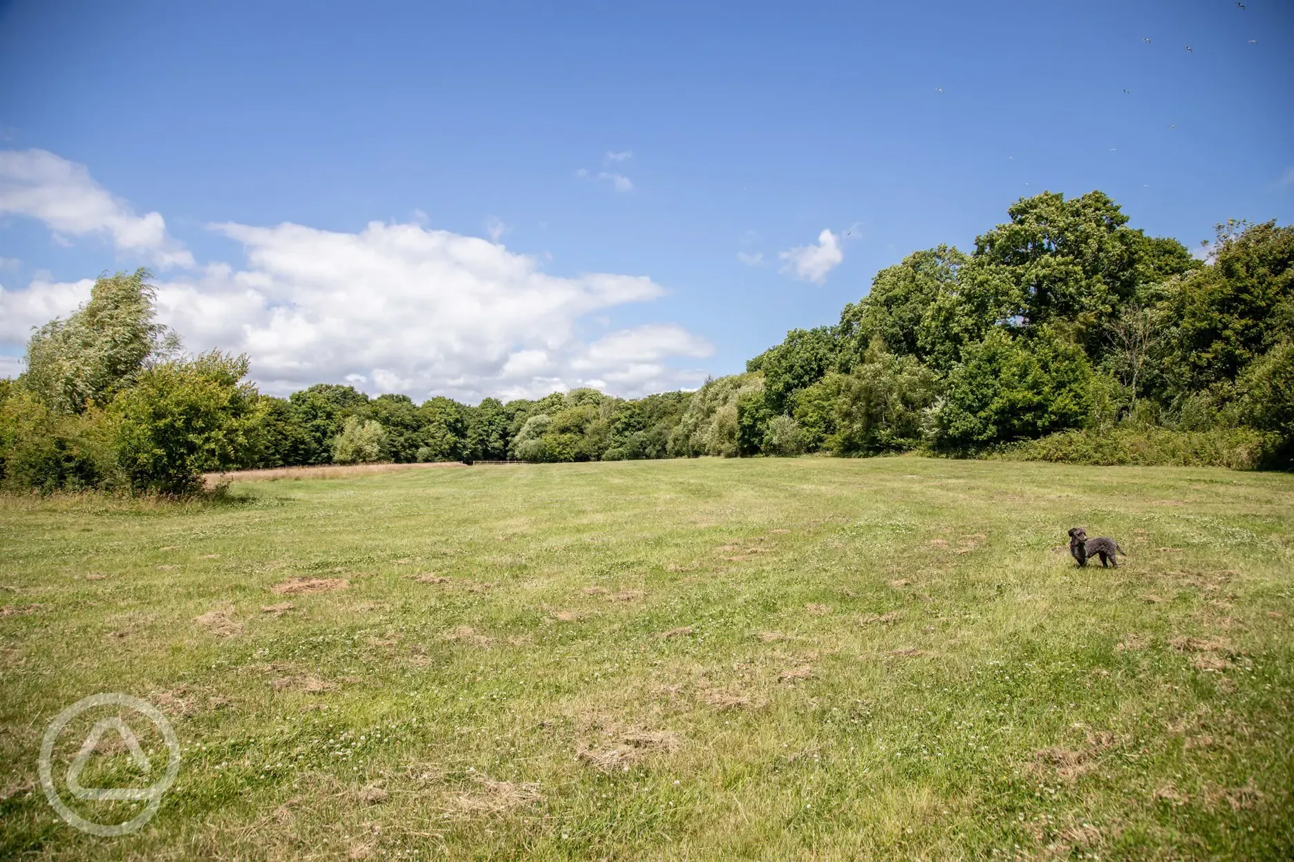 Always loads of space for games of cricket and rounders!