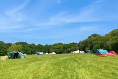 Camping field for non electric grass pitches at Dernwood Farm