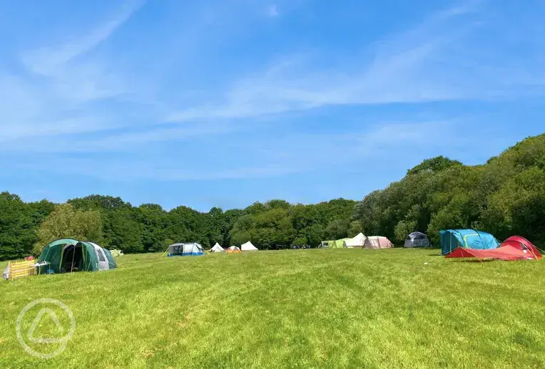 Camping field