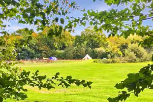 Dernwood Farm, Waldron, Heathfield, East Sussex