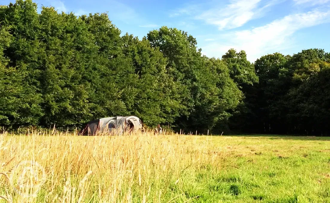 Non electric wild grass pitches