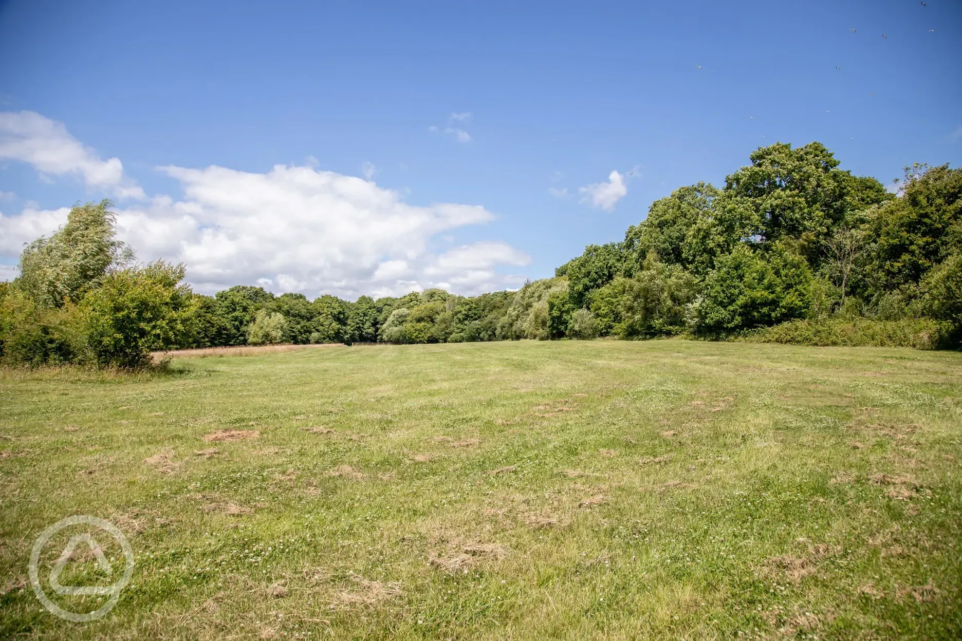 Non electric wild grass pitches