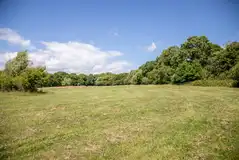 Non electric wild grass pitches