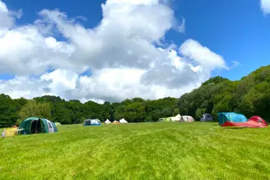 Dernwood Farm