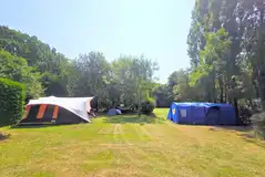 Camping field at Dogwood Camping and Glamping, Rye