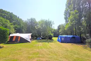 Dogwood Camping and Glamping, Brede, Rye, East Sussex
