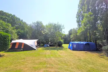 Camping field at Dogwood Camping and Glamping, Rye