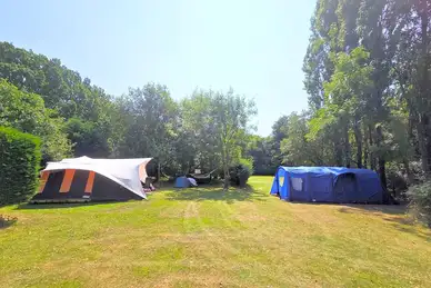 Dogwood Camping and Glamping