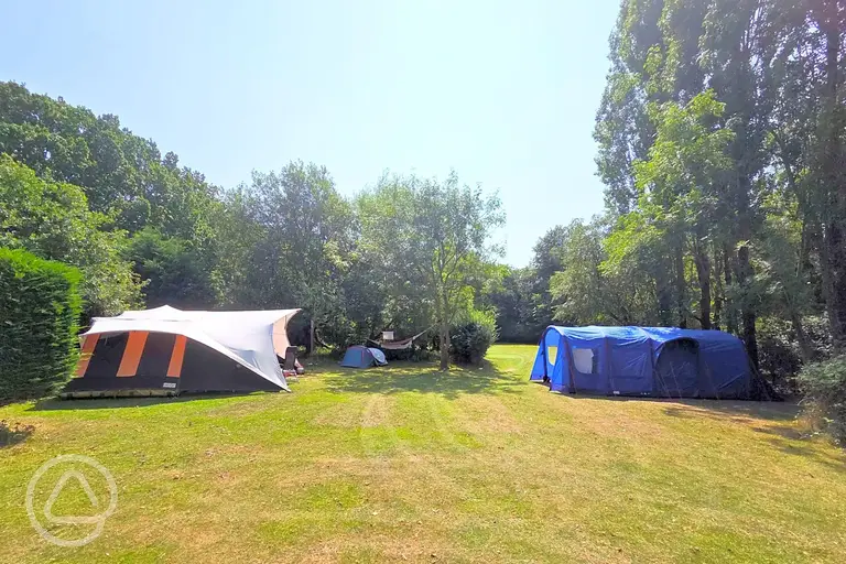 Camping field at Dogwood Camping and Glamping, Rye