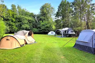 Dogwood Camping and Glamping, Brede, Rye, East Sussex