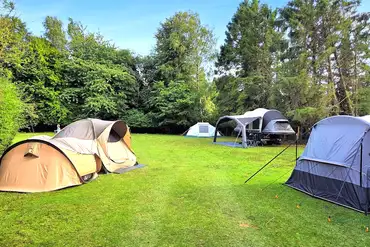 Camping field at Dogwood Camping and Glamping, Rye