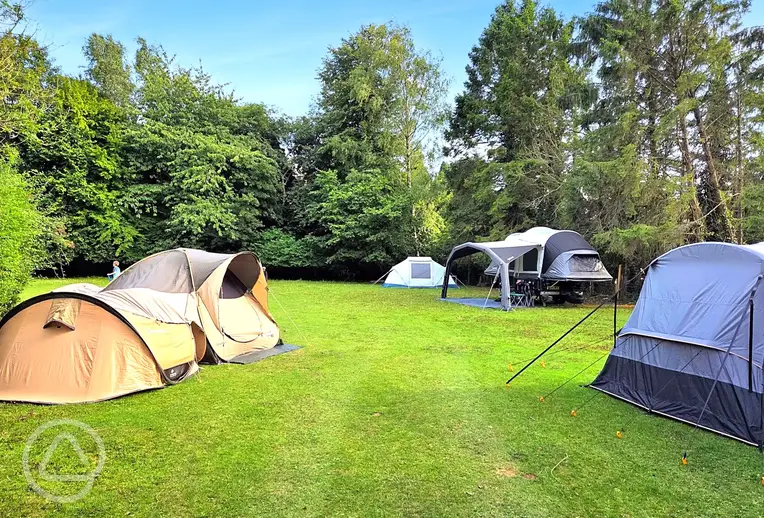 Camping field at Dogwood Camping and Glamping, Rye