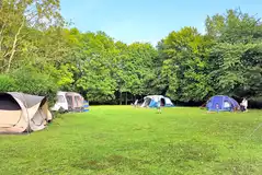 Camping field at Dogwood Camping and Glamping, Rye