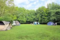 Camping field at Dogwood Camping and Glamping, Rye
