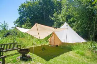 Dogwood Camping and Glamping, Brede, Rye, East Sussex (16.1 miles)