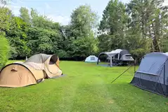 Camping field enclosed by hedges and trees