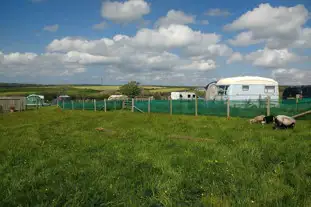 Druidston Home Farm Campsite, Broad Haven, Haverfordwest, Pembrokeshire (7 miles)