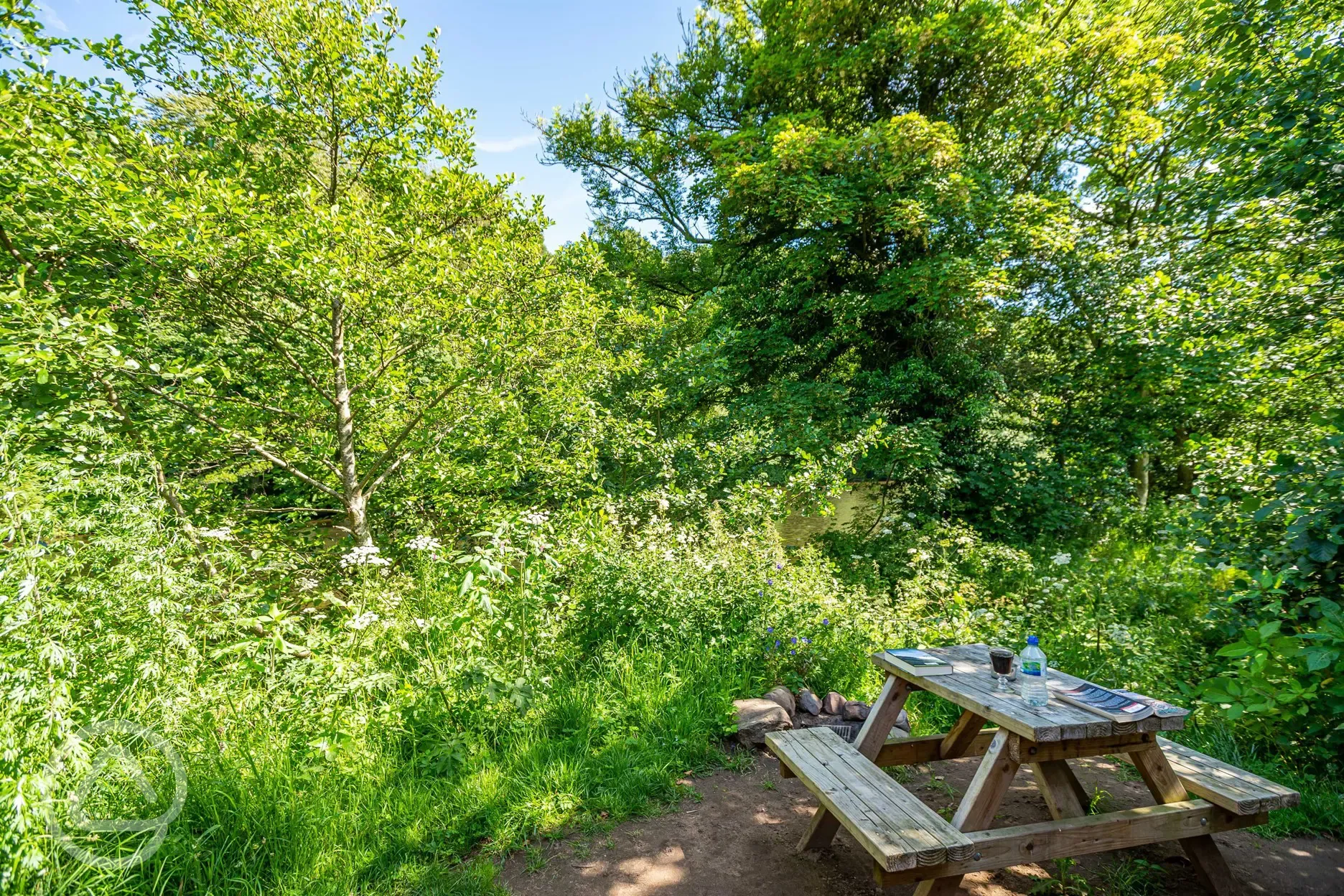 Gypsy caravan seating area, surrounded by trees