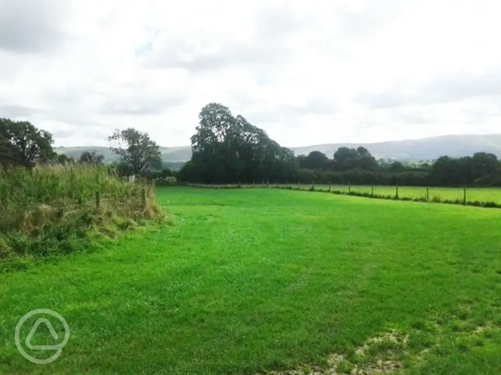 Paddock for camping at Dyfed Shire Farm