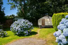 Nare Yurt exterior with a footpath and surrounding planting