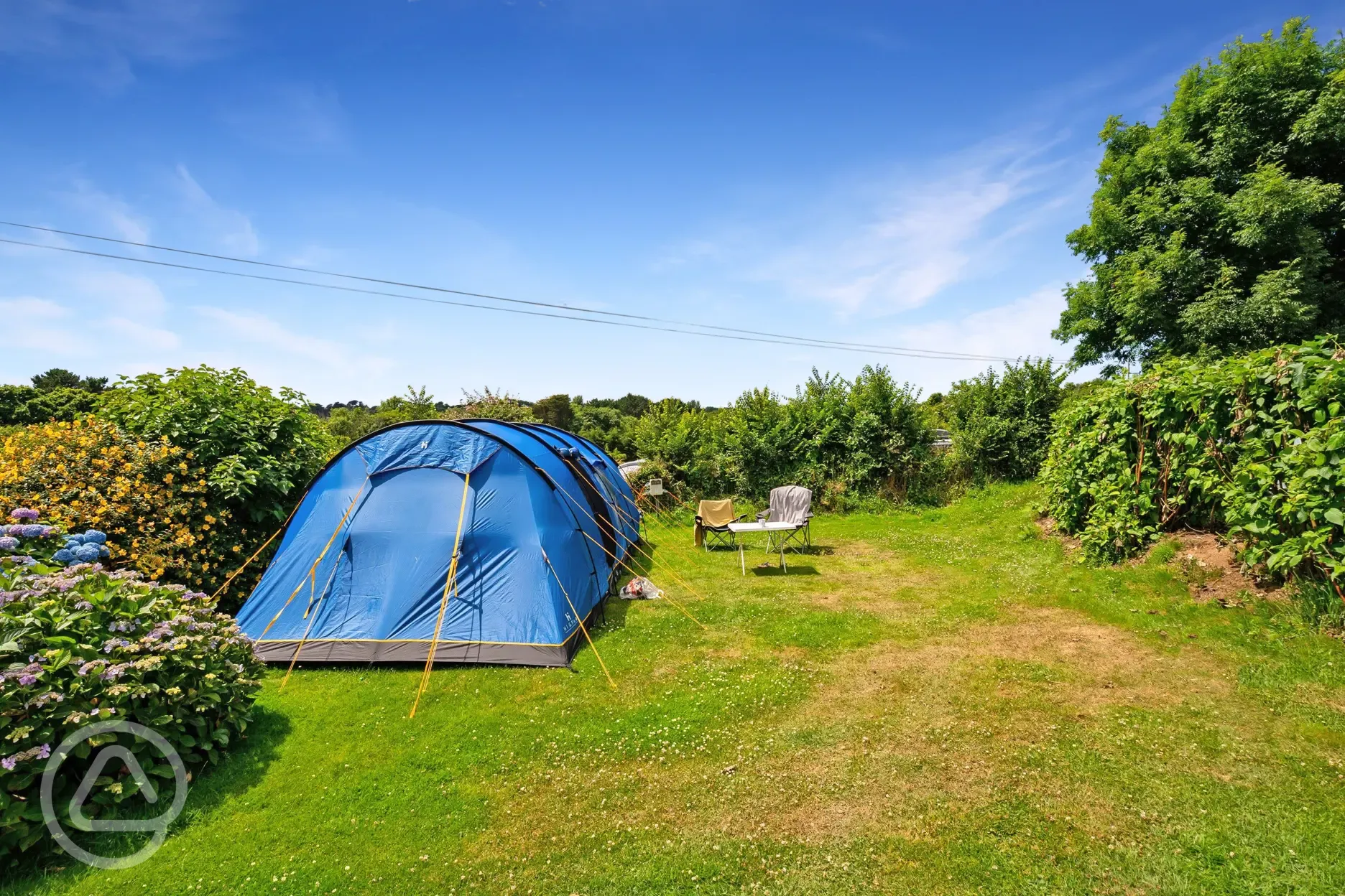 Grass pitches with hedging for privacy
