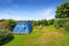 Grass pitches with hedging for privacy