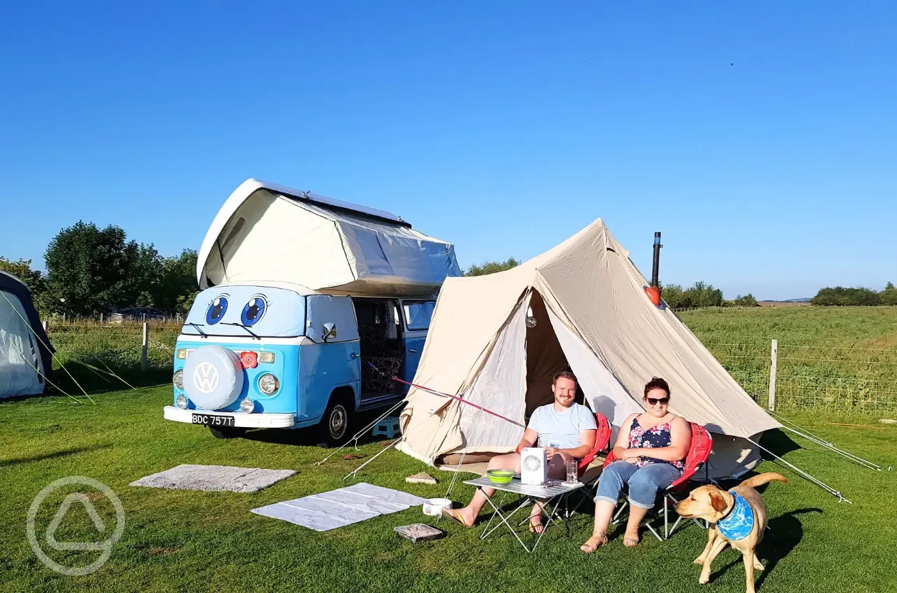 Electric grass pitches with 16 amp hook up for tents and small campervans