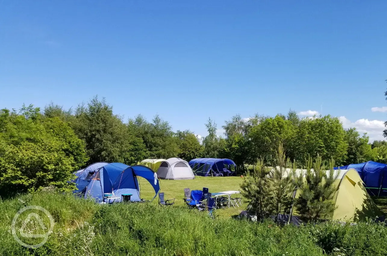 Grass pitches