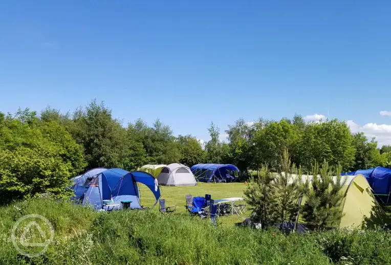 Grass pitches