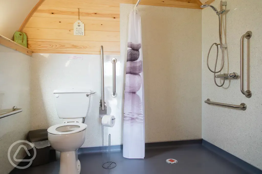 Accessible bathroom with grab rails and spacious shower