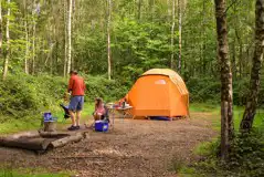 Wild tent pitch in an individual forest Wild tent pitch in an individual forest