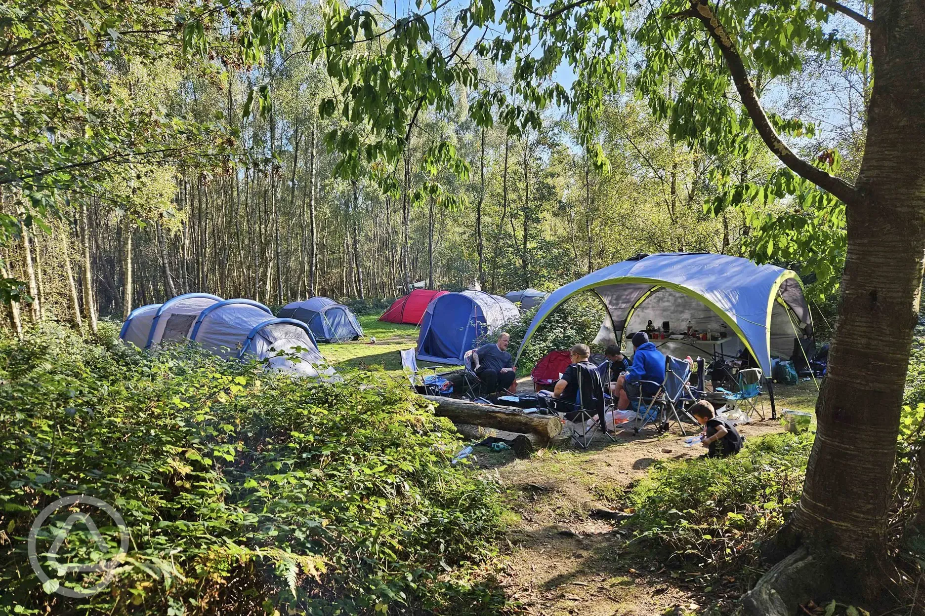 Wild double tent pitches