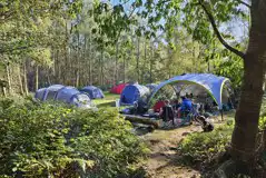 Wild double tent pitches