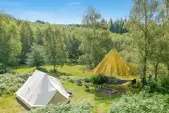 Faraway pitches at Beech Estate Campsite Faraway pitches at Beech Estate Campsite