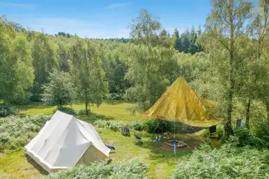 Beech Estate Campsite