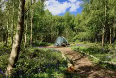 Wild tent pitch with a private campfire and fire pit Wild tent pitch with a private campfire and fire pit