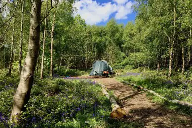 Beech Estate Campsite