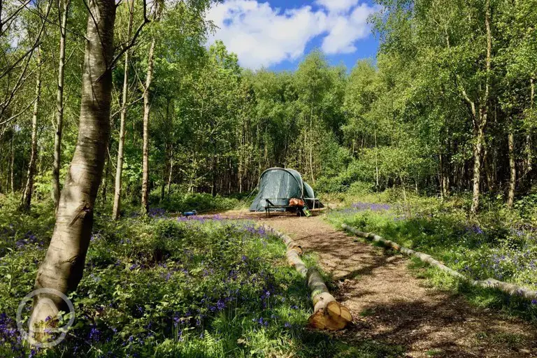 Wild tent pitch