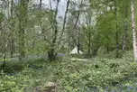 Twilight pitches accessed via a forest path