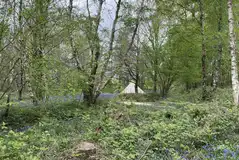 Twilight pitches accessed via a forest path