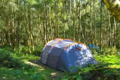 Large tent in a wild tent pitch surrounded by woodland Large tent in a wild tent pitch surrounded by woodland