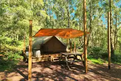 Wild glamping bell tent with a canopy set amongst trees at Beech Estate Campsite