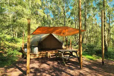 Wild glamping bell tent with a canopy set amongst trees at Beech Estate Campsite
