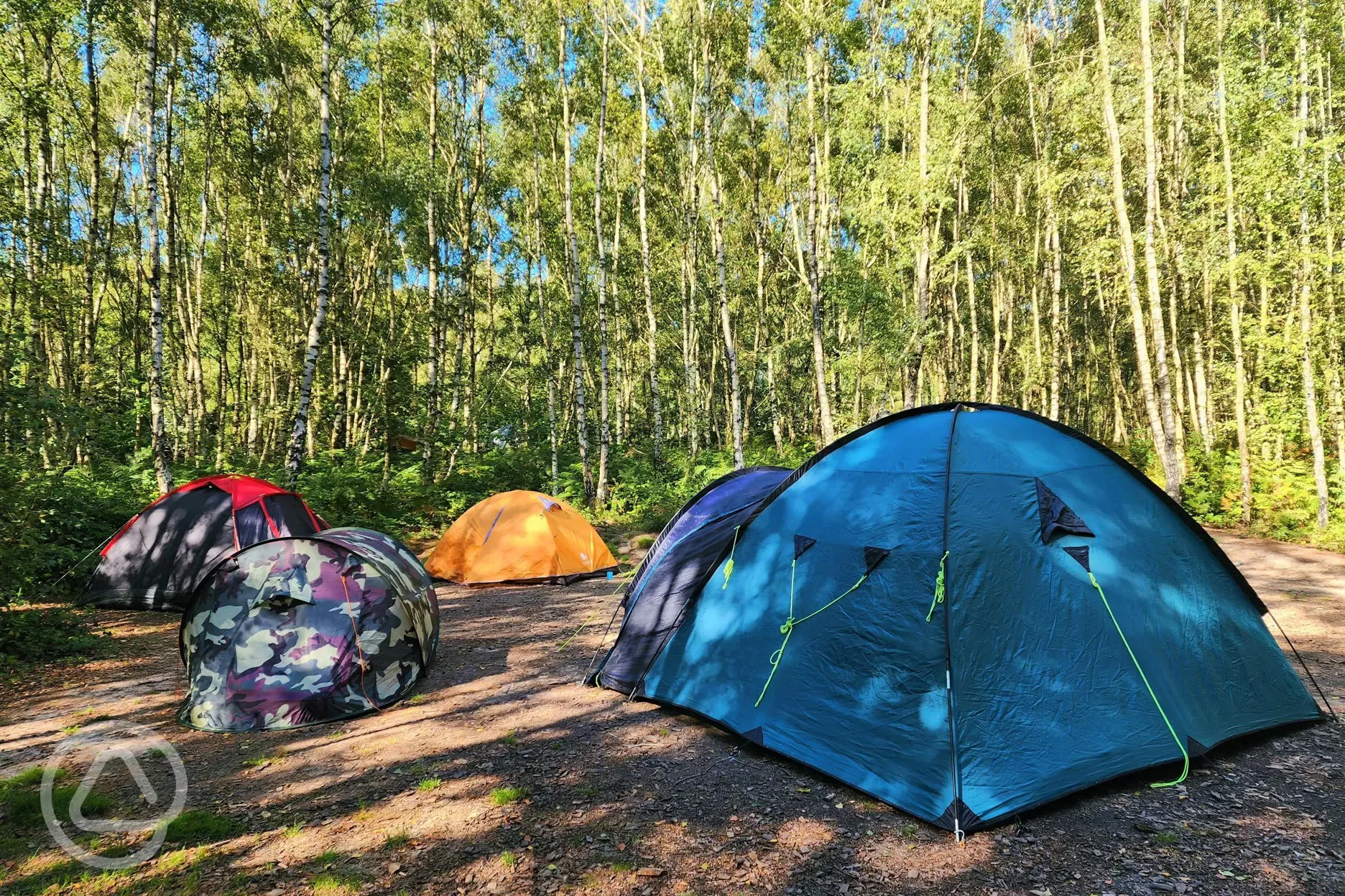 Wild double tent pitches