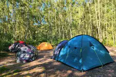Small, medium and large tents on wild double tent pitches Small, medium and large tents on wild double tent pitches