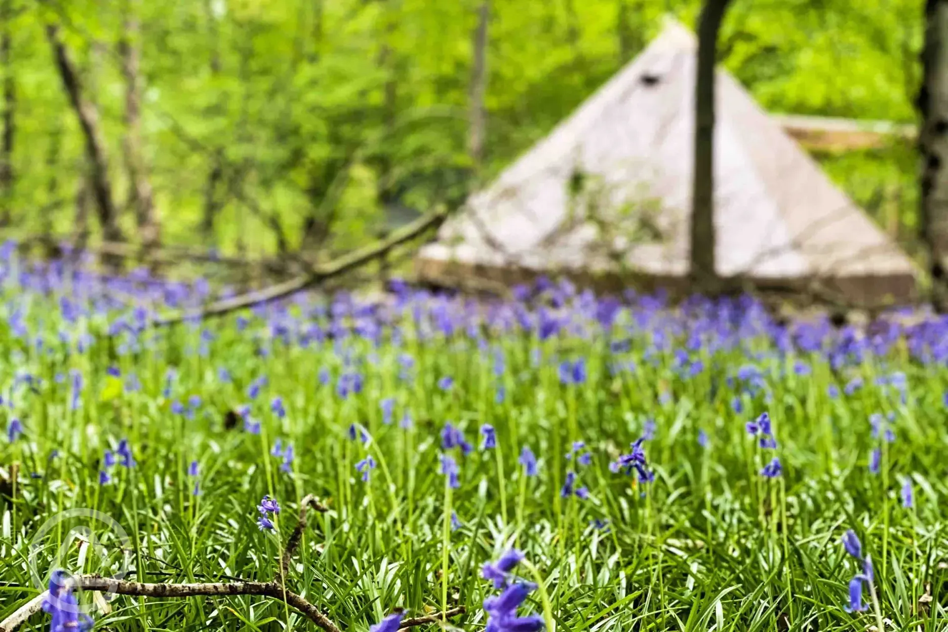 Wild glamping bell tent 