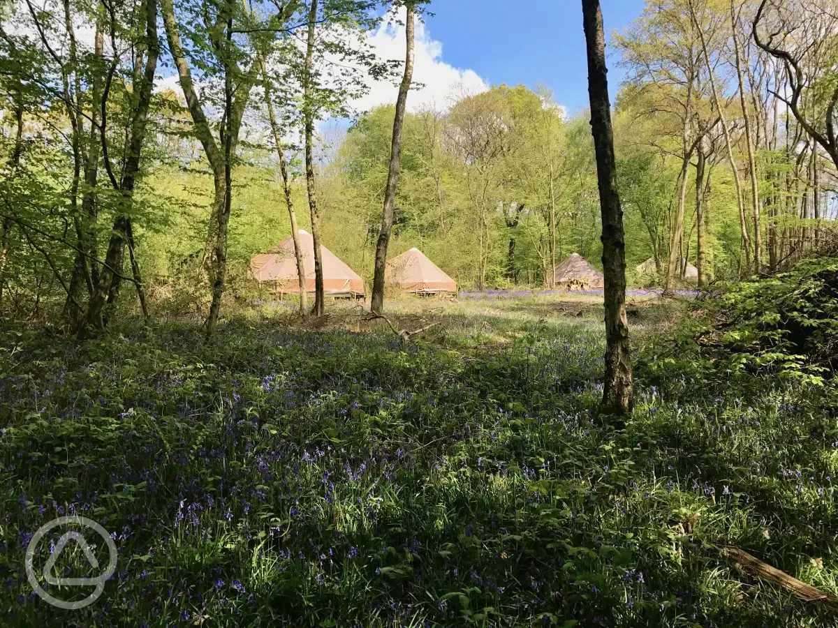 Wild glamping bell tents