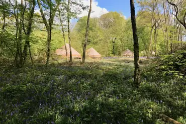 Glamping bell tents in the woodland