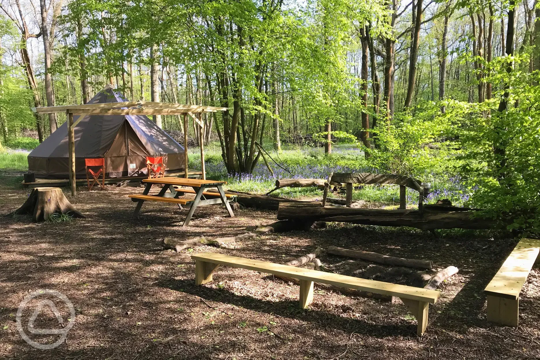 Bell tent at Wild Boar Wood campsite