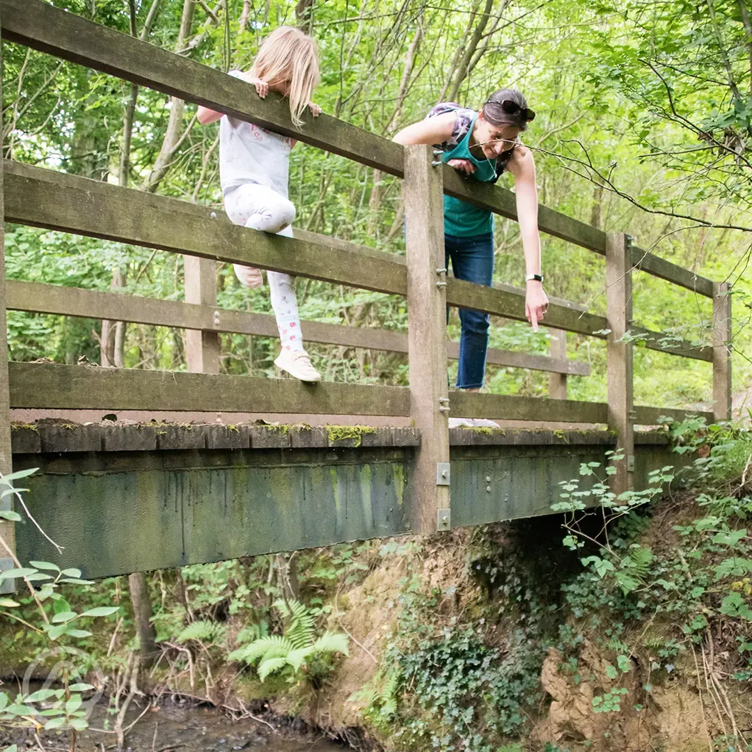 Playing Pooh sticks in nearby Ashdown forest
